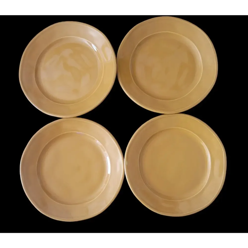Euro Ceramic Portugal SAFARI Burnt-Orange Stoneware Salad Plates 9 in Boho Set 4